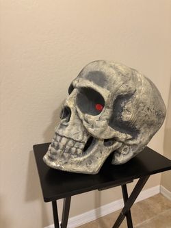 Huge Skeleton Head 15 Inches High -$20
