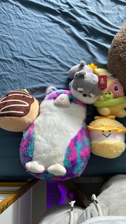 Plushie bundle of 5. Marshmallow, cat, puppy, etc