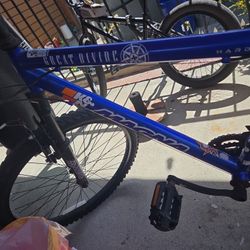 Magna Index Shifting 21speed