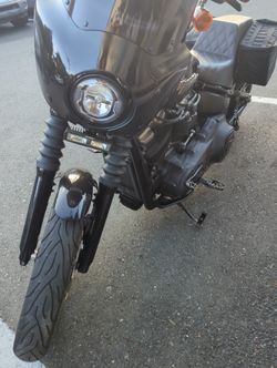 2019 Harley Davidson Streetbob