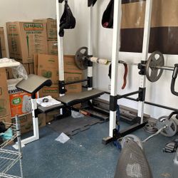 Weider  Power Cage Weight Lifting Workout Station 