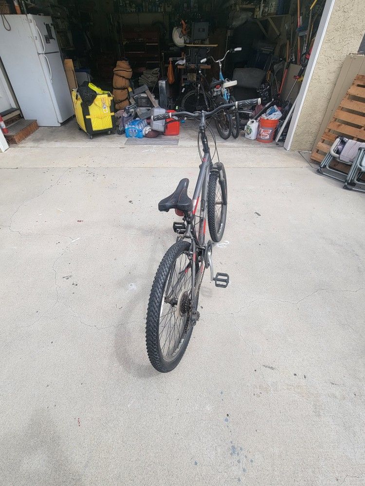 Trek Bike.