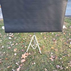 Movie Screen For Home Videos (Screen Isn't All the way up In Pic