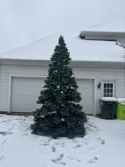 12 Foot Christmas Tree (2 Storage Bags Included)
