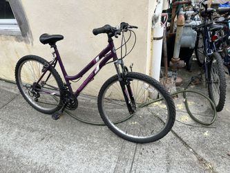 Women’s Bicycle $150
