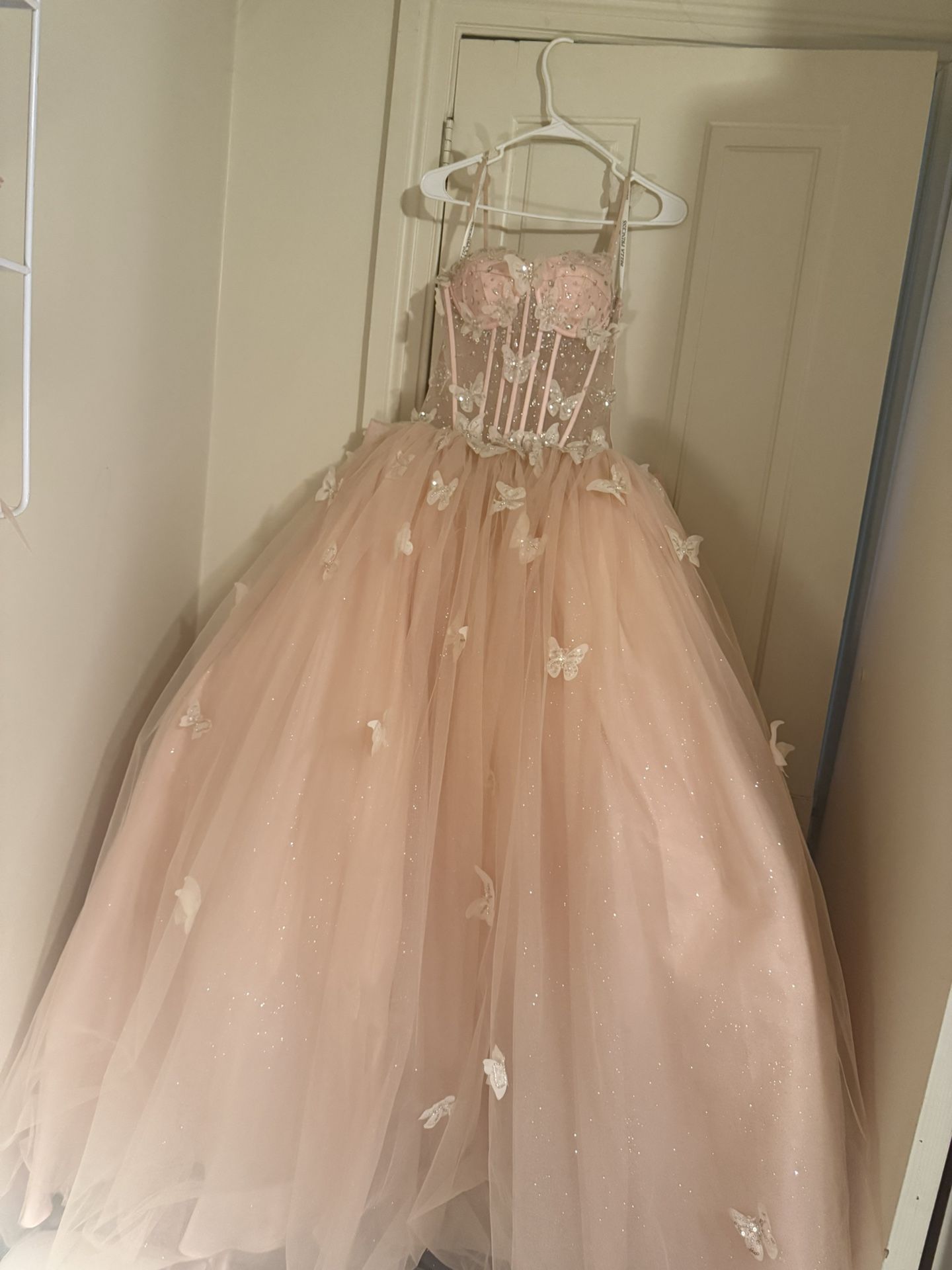 Modern Blush Butterfly Quinceañera Dress