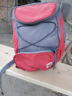 Cooler backpack