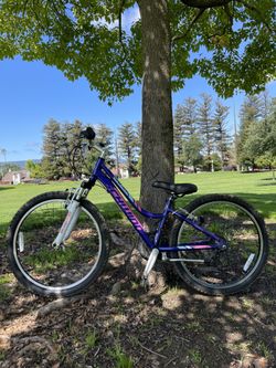 Schwinn Ranger Girls Mountain Bike 24”