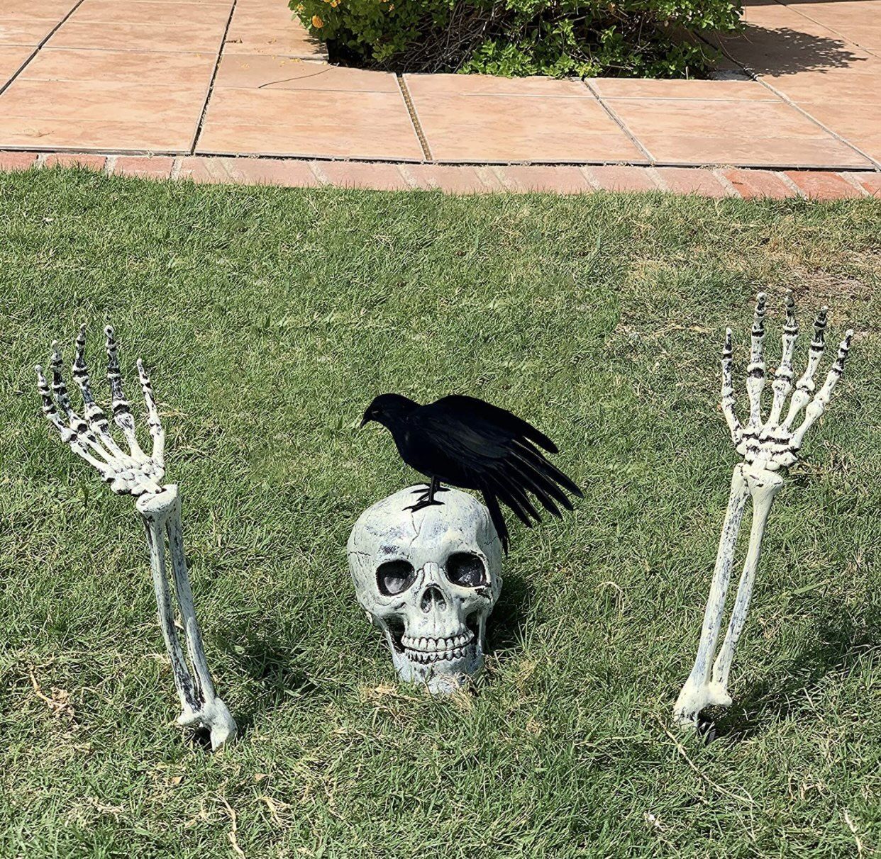Halloween Decorations Skeleton Stakes with Crow Set Groundbreakers for Best Halloween Yard Decorations Outdoor Graveyard