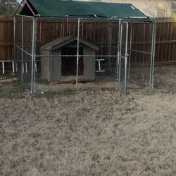 Dog Pin Or Dog House