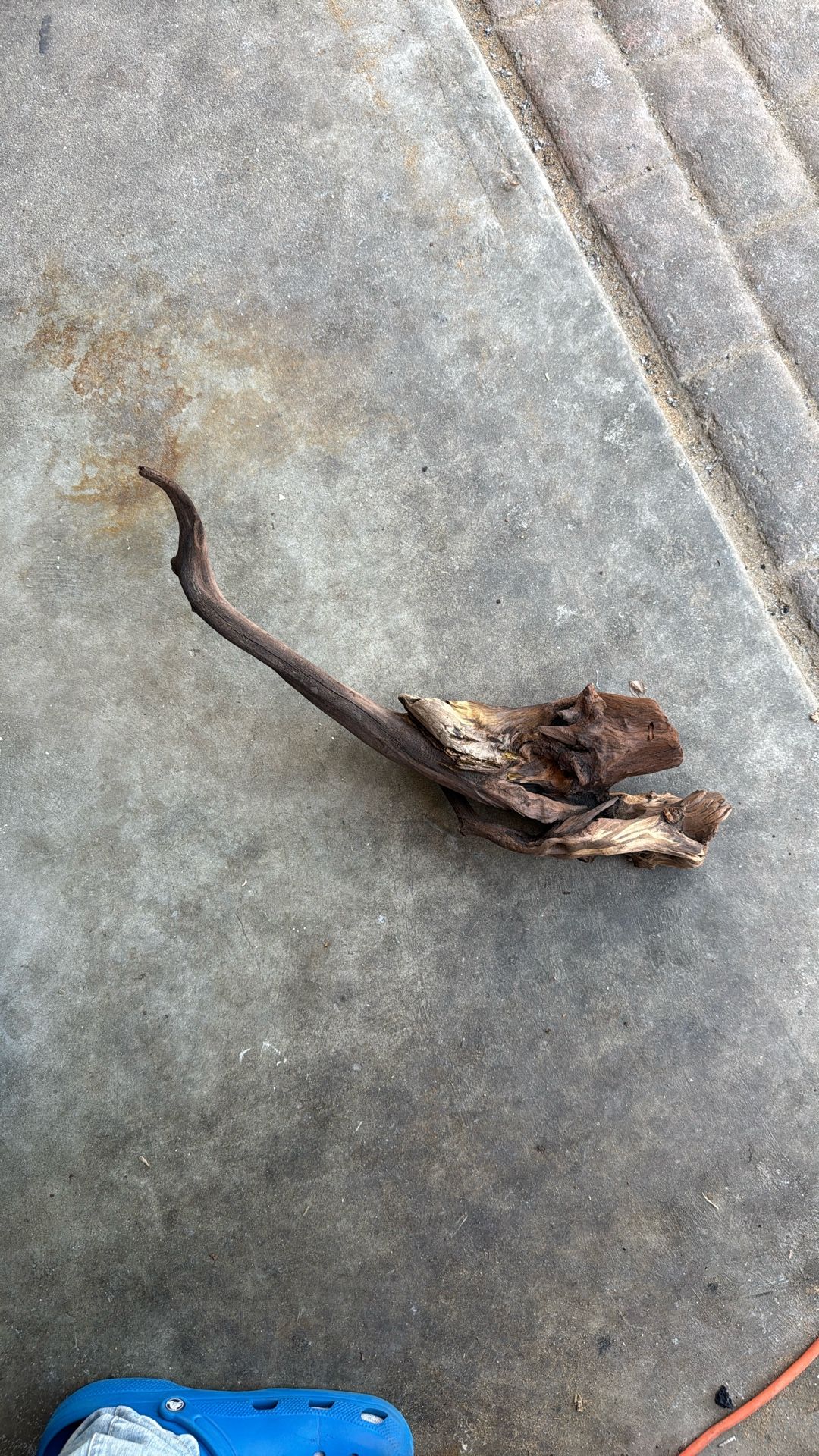 Decorative DriftWood