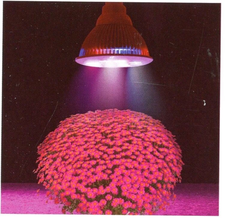 Taotronics TT-GL20 E27 12W Led Grow Light Bulb
