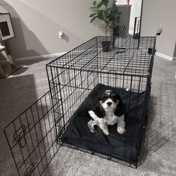 Medium Wire Dog Crate With Water Proof/washable Crate Pad 