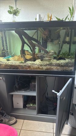 Aquarium