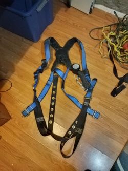 New Harness