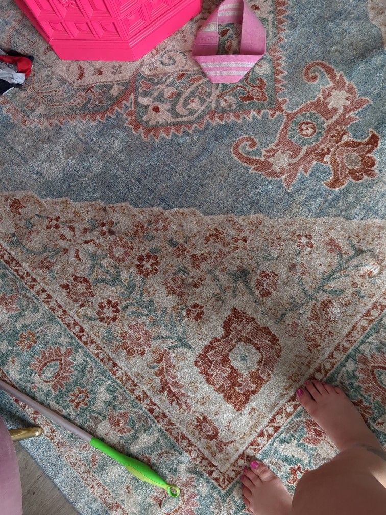 11 By 12 Beautiful Rug Need Gone