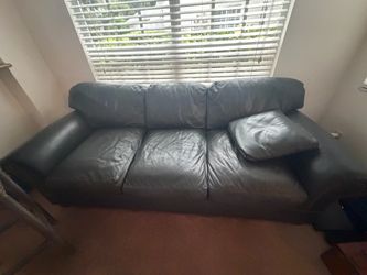 Green Couch