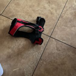 Medium size harness