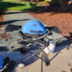 Weber Q 1200 And Cart