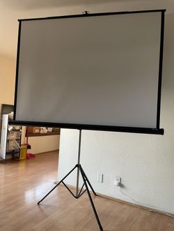 Dalite Projection Screen