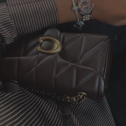 Brown Coach Tabby 12