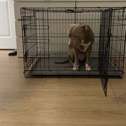 Boots & Barkley Dog Crate