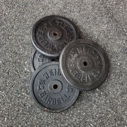 4-25lbs Standard 1inch Weight Plates