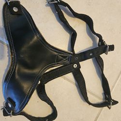 Dog harness