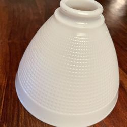 Vintage Glass Lamp Shade or Light Globe