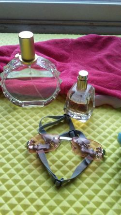 Girl dog accessories