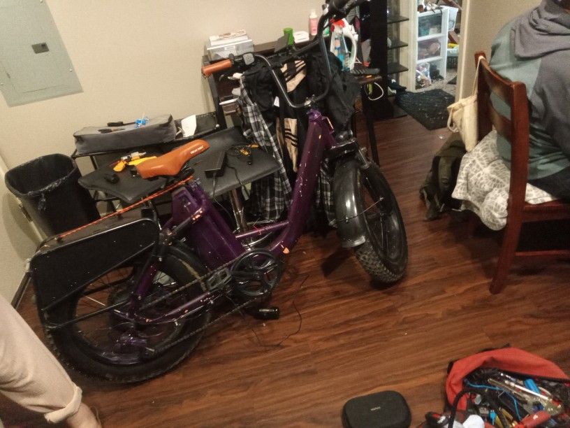 Electric Bike