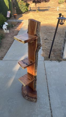 Handmade Black Locust Spine Shelf