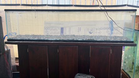 85-gallon long fish tank