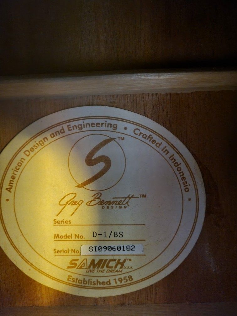 Acoustic Guitar