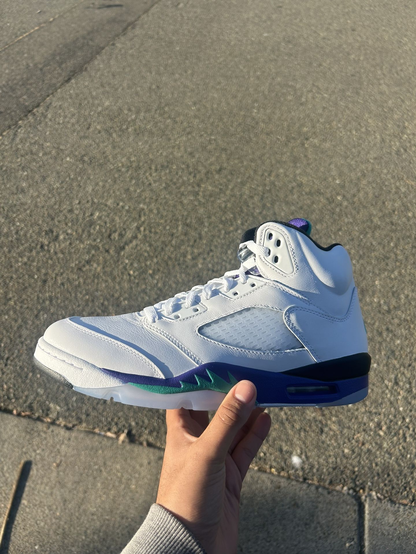 Jordan 5 Grape