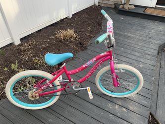 Girls 20 Inch Bicycle