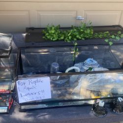 Big Reptile Tank With Real Nice Accessories And Small Fish Tank