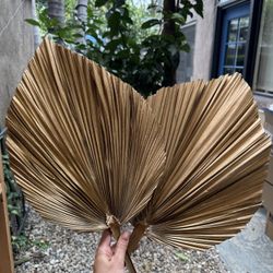 Dried Natural Palm Leaves 2 pcs Large Boho Look Home Wedding Decor -Round Fan A