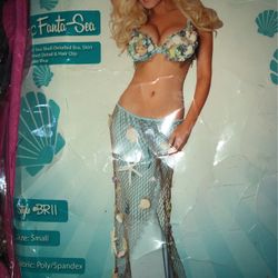 Beautiful Mermaid Costume