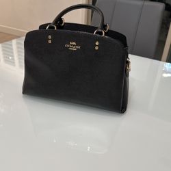 Coach Brand,Black And Gold, $160