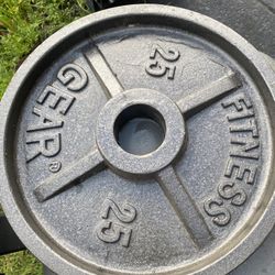 Olympic Size 25lb Plates $45
