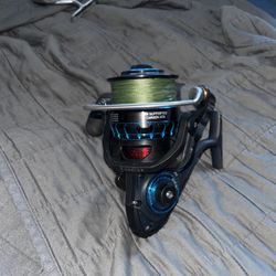 Diawa Saltist 5000 Spinning Reel