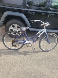 Jaguar Schwinn Bicycle