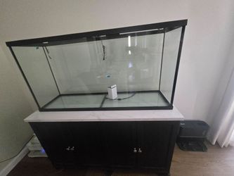 Fish tank, stand and accessories