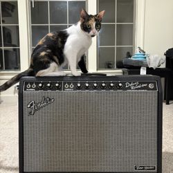 Fender Tone Master Deluxe Reverb 1 x 12-inch 100-watt Combo Amp