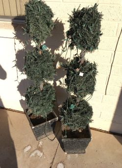 Ball light up entry way trees