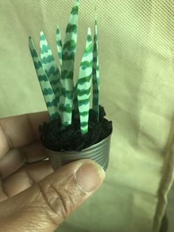 Mini snake plants for Barbie doll hoses
