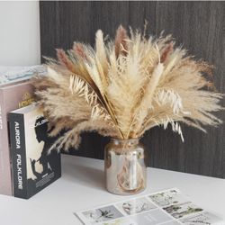 65 Pcs Pampas Grass,17"/43cm Natural Dried Pampas Grass Decor