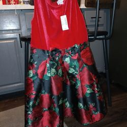 Red Dress Size 10 Children's Place