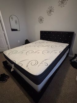 Bed set with bed frame box spring and mattress